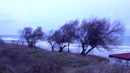 Marmara Denizi'nde poyraz deniz ulaşımında aksaklıklara neden oluyor