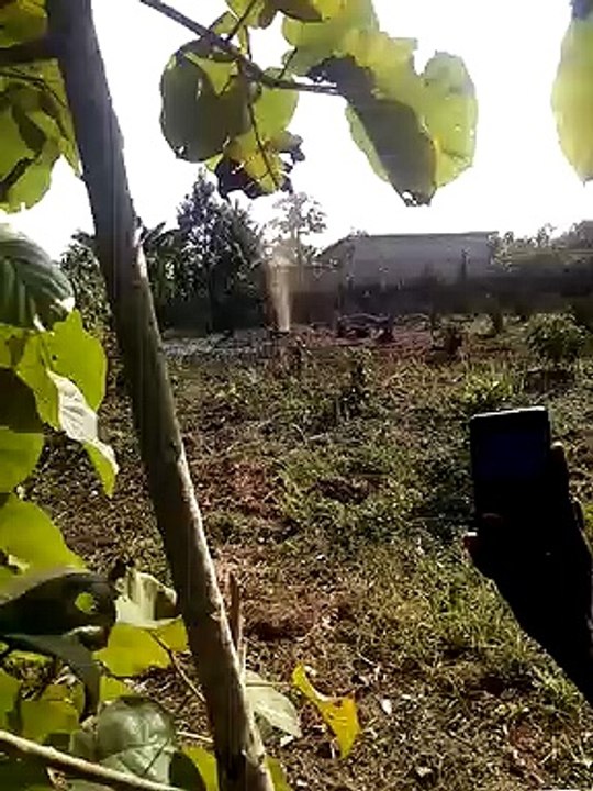 Le forage d’un puits produit des effets inattendus à Avedji ( Commine Athiémé BÉNIN)