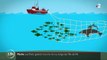 Pêche : au large de l'île de Ré, les immenses filets interdits