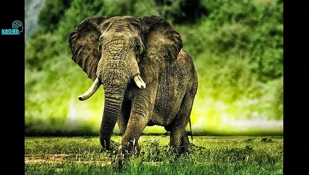 Happy New Year !! || Naye Sal Shoro hona sa pehla ya kahani zaror sunye in urdu/hindi || Happy New Year Moral Story || By Unknown Knowledge