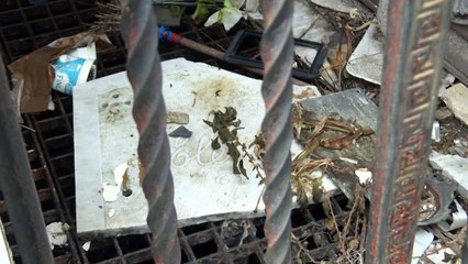 من المستشفى إلى المقبرة... عندما يستحيل الدفن في الأرجنتين ترفا