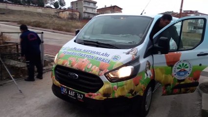 Su kanalına düşen köpeği itfaiye ekibi kurtardı - AMASYA