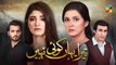 Tera Yahan Koi Nahin - Episode 1 - 30 December 2019 - New HUM TV Drama Serial - Latest Episode