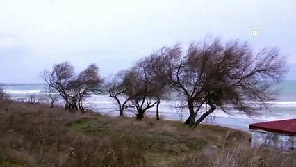 Marmara Denizi'nde poyraz deniz ulaşımında aksaklıklara neden oluyor - TEKİRDAĞ