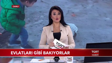Yavru Hayvanlara Evlatları Gibi Bakıyorlar