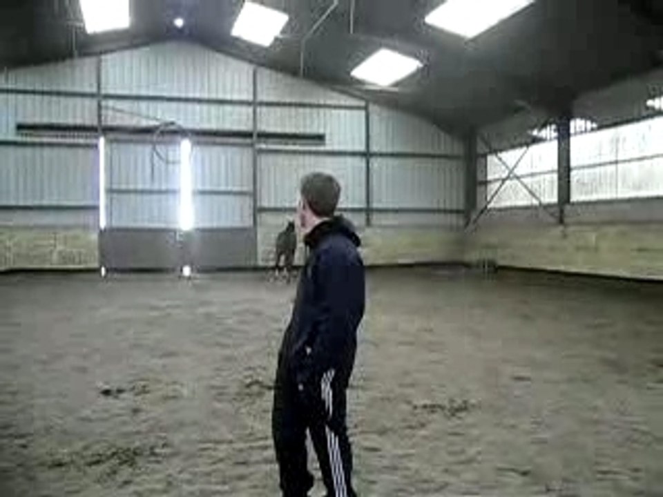 Saut liberté3