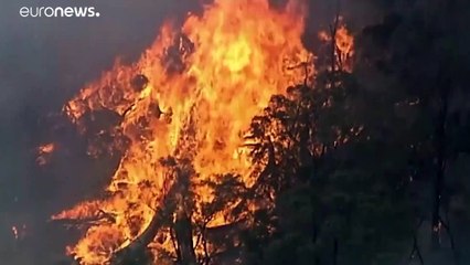 Video herunterladen: Hitze und heftige Waldbrände in Australien