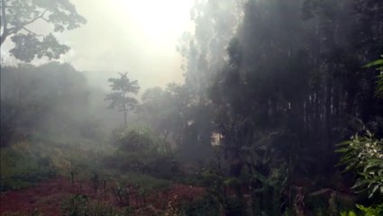 Incêndio ambiental é registrado no Jardim Montreal