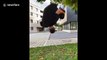 UK man does insane parkour tricks