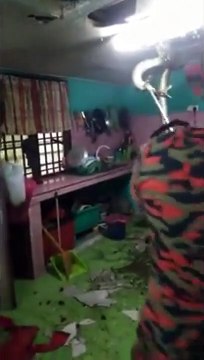 La taille de ce serpent sorti du plafond par les pompiers !