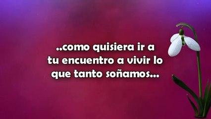 NECESITO BESARTE ♥♥ Vídeo Para mi Amor a Distancia