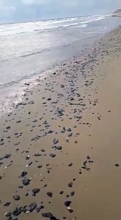 Ressaca do mar traz óleo de volta ao litoral de Itapipoca e Amontada