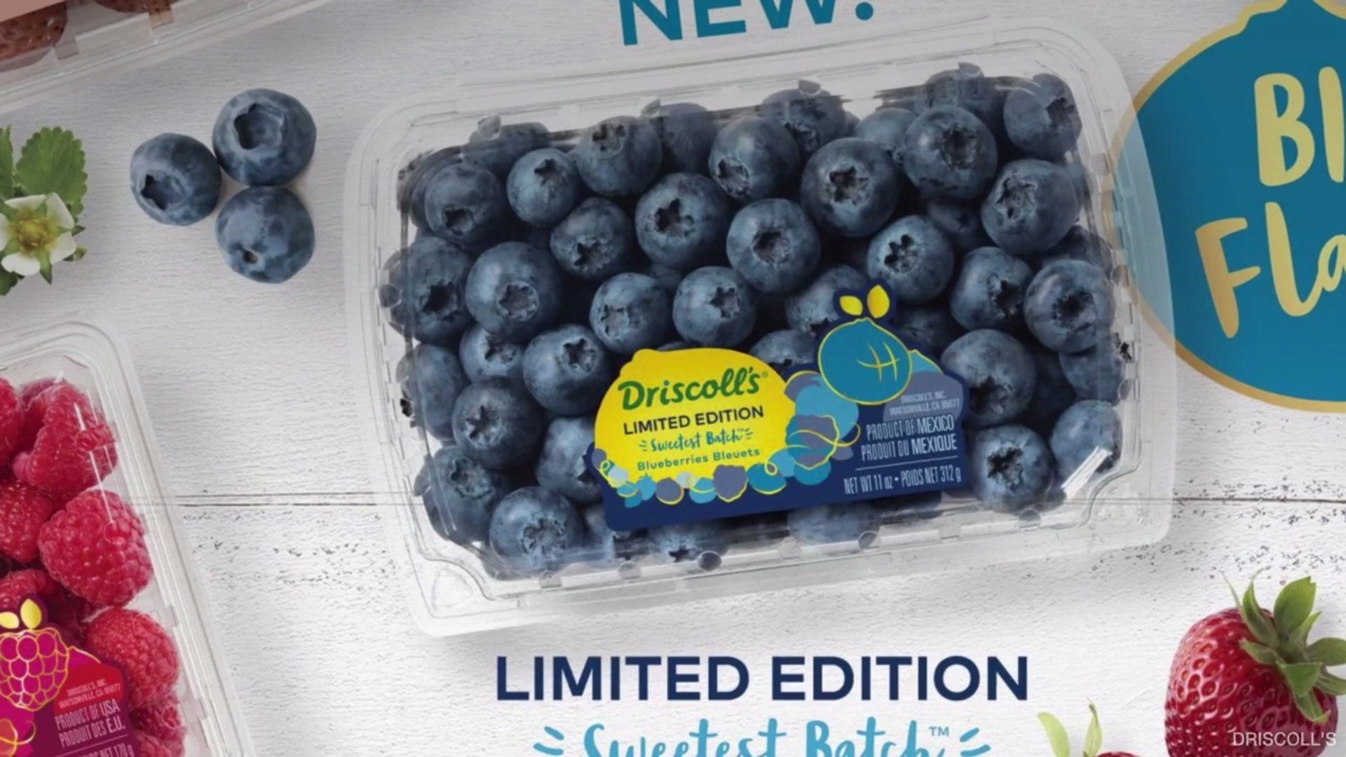 Driscoll's New Blueberries Promise to Be the Sweetest You'll Ever Taste -  video dailymotion