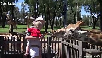 Funniest Animals Scaring People Reactions of 2019  Compilation 