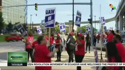 Interviews From Washington DC: Cathy Feingold