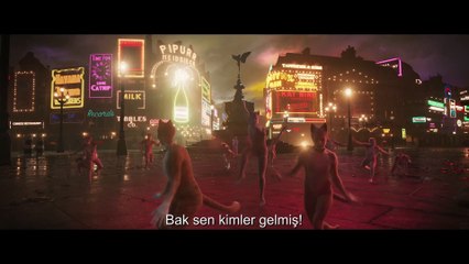 CATS Filme - KUTLAMA