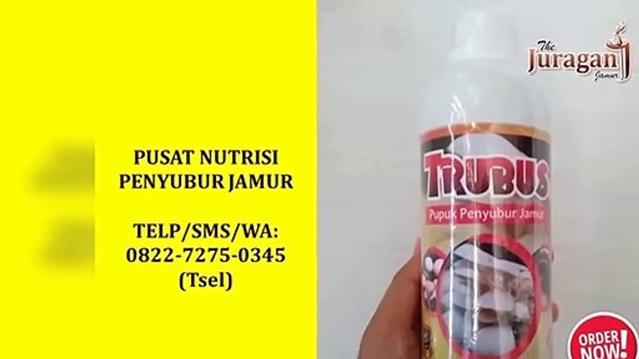 DISKON! TELP/SMS/WA : 0822-7275-0345 (Tsel), Distributor Suplemen Solusi Untuk Baglog Jamur Tiram Denpasar Bali,