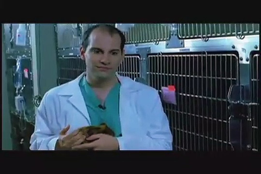 Small Emergencies