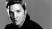 Elvis Presley “marca el paso” de cebra en Alemania