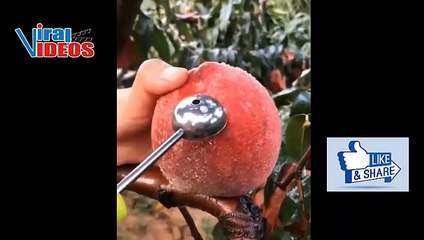 Tải video: Las frutas únicas y exóticas de España La naturaleza es increíble