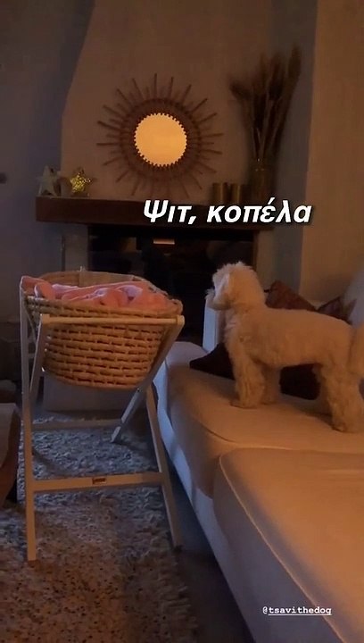 Σάββας Πούμπουρας: Το πρώτο βίντεο με την νεογέ...