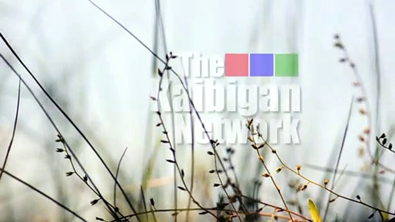 TKN_Intro_weeds