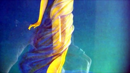 Carl Sagan: The Gift of Apollo (A dádiva da Apollo) - legendado