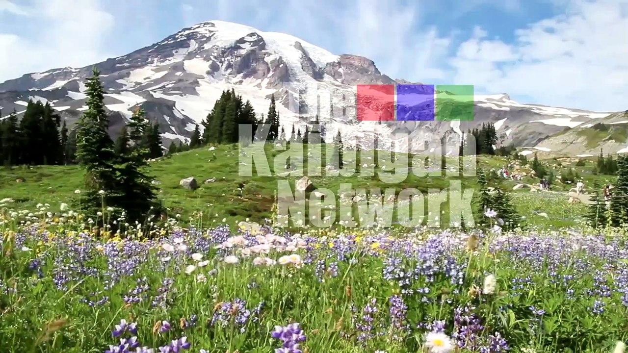 TKN_Intro_alpinemeadow