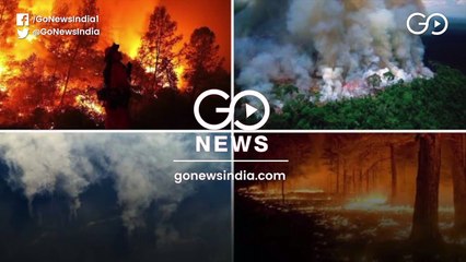 साल 2019 में दुनिया ने देखी अमेज़न के जंगलों  की आग, स्पेस से भी दिखता था धुआँ