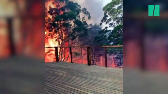 Les incendies en Australie piègent les vacanciers sur la plage