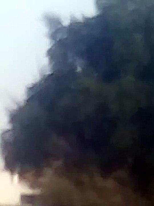 BEAUTY OF NATURE
