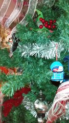 Black Cat Becomes Christmas Tree Ornament