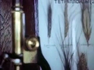 Last Plant Standing - acaciaproductions.co.uk