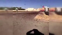 Suudi Arabistan'ı çöl çekirgeleri bastı