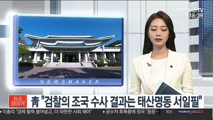 靑 "검찰의 조국 수사결과는 태산명동 서일필"