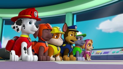 PAW Patrol   Pups Save the Melon Contest   Rescue Episode   PAW Patrol Official & Friends