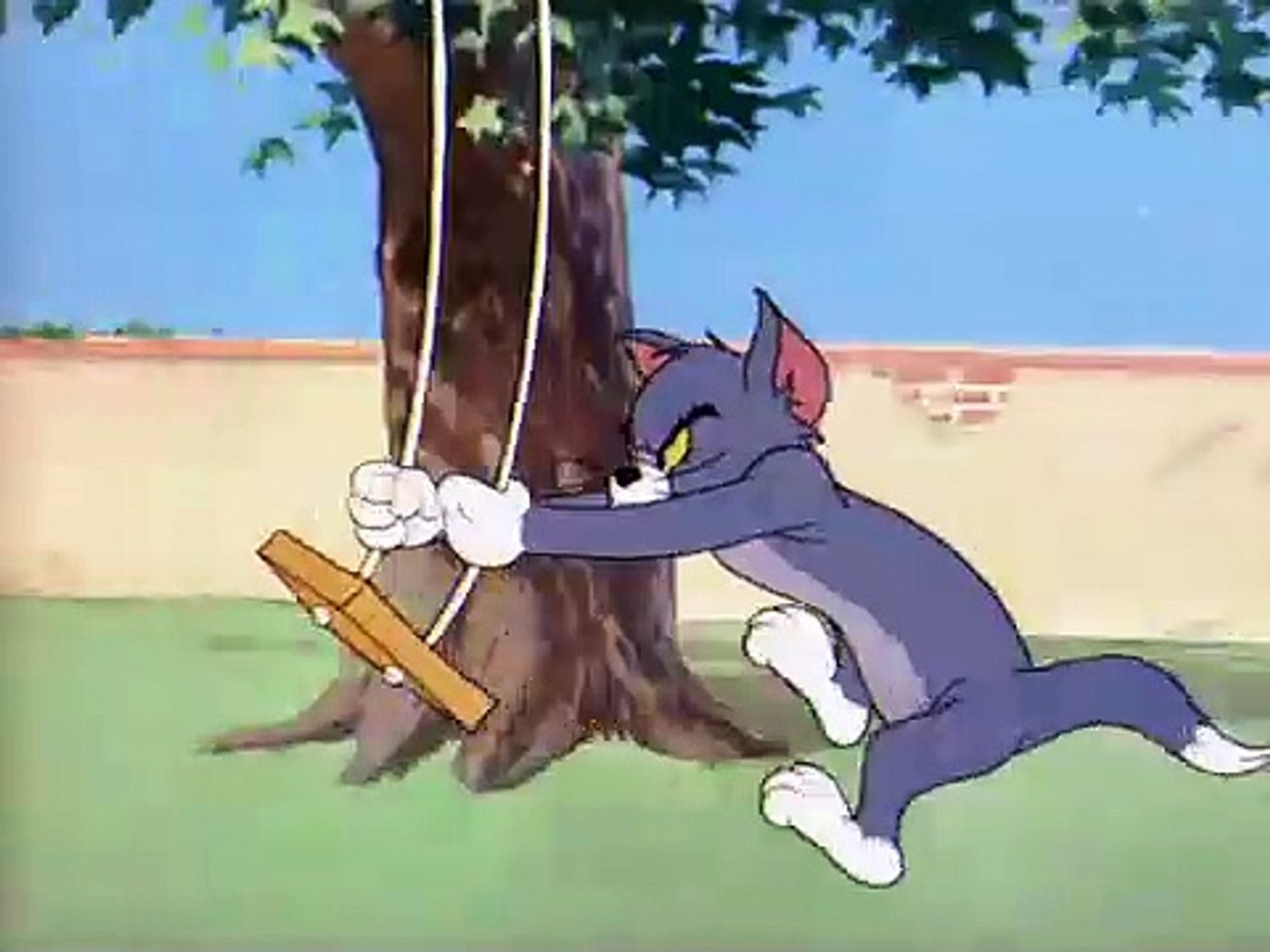 tom and jerry cartoon_209