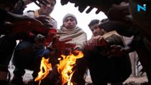 UP's Kanpur touches zero degrees, Delhi to get cold wave relief till January 4