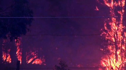 Australien: Tausende Menschen von Buschbränden eingeschlossen