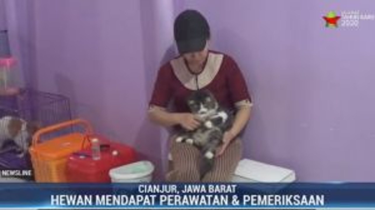 Jasa Penitipan Hewan Laris Manis selama Libur Akhir Tahun