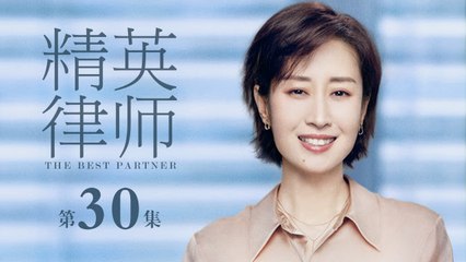 精英律師 30 | The Best Partner 30（靳東、藍盈瑩、孫淳等主演）