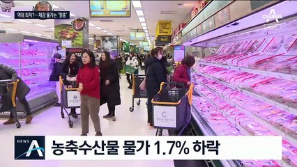 장보기 힘든데…물가 상승률은 역대 최저?