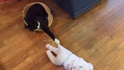 Baby and Cat Fun and Fails - Funny Baby Video