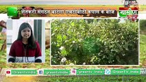 Kisan Bulletin : बकरी के दूध से साबुन बनाकर मुनाफा कमा रहे किसान | Grameen News