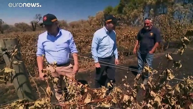 Австралийский премьер принес 50 тысяч