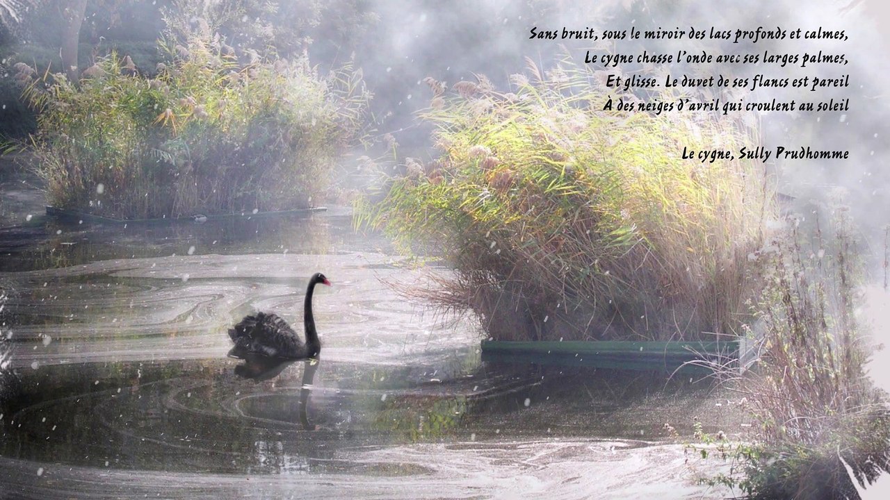 Le Plessis-Robinson - Voeux 2020