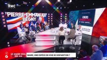 Le Grand Oral de Pierre-Emmanuel Begny, maire de Saâcy-sur-Marne - 31/12
