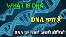 What is DNA | DNA क्या है | DNA | in hindi | डीएनए | the science news hindi