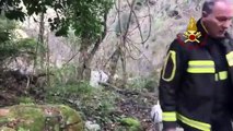 Catanzaro - Salvato cane da caccia precipitato in un dirupo (30.12.19)