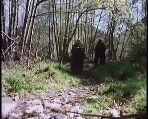 True Vengeance trailer